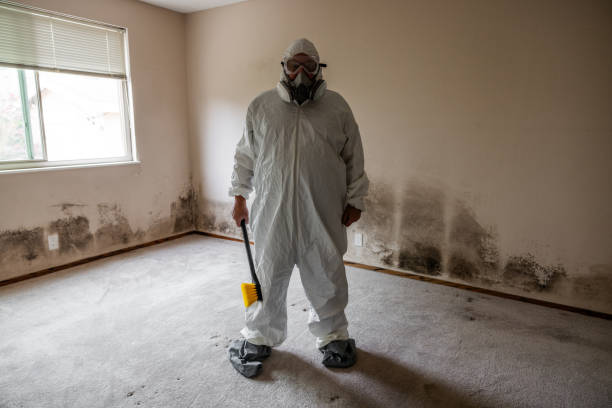 Mold Remediation for Vacation Homes in Martin, SD